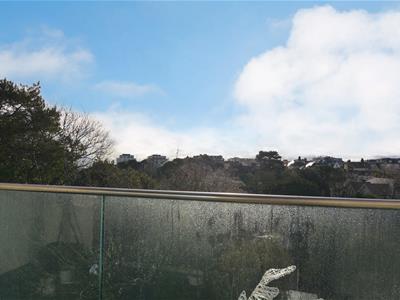 Picture 13